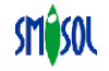SMISOL